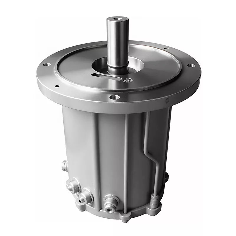 Roots Vacuum Pump Motor